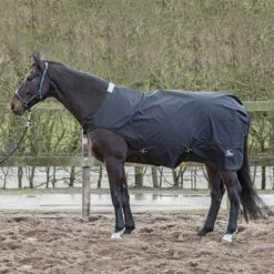 Stapmolendeken Harry's Horse 600D 0gr Zwart -Paardenbenodigdheden Winkel stapmolendeken harry s horse 600d 0gr zwart 1500x1500 100812