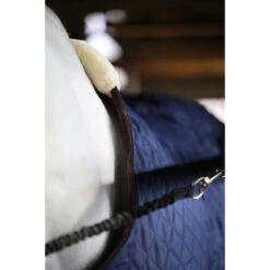 Stapmolendeken Kentucky 160gr Donkerblauw -Paardenbenodigdheden Winkel stapmolendeken kentucky 160gr donkerblauw 1500x1500 139838