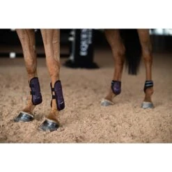 Strijklappen Equestrian Stockholm Black Raven Paars -Paardenbenodigdheden Winkel strijklappen equestrian stockholm black raven paars 1500x1500 179362