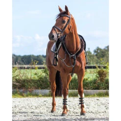 Teugelbontjes QHP Bruin -Paardenbenodigdheden Winkel teugelbontjes qhp bruin 1500x1500 153269