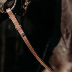 Teugels PresTeq FaySport Bruin -Paardenbenodigdheden Winkel teugels presteq faysport bruin 1500x1500 167050