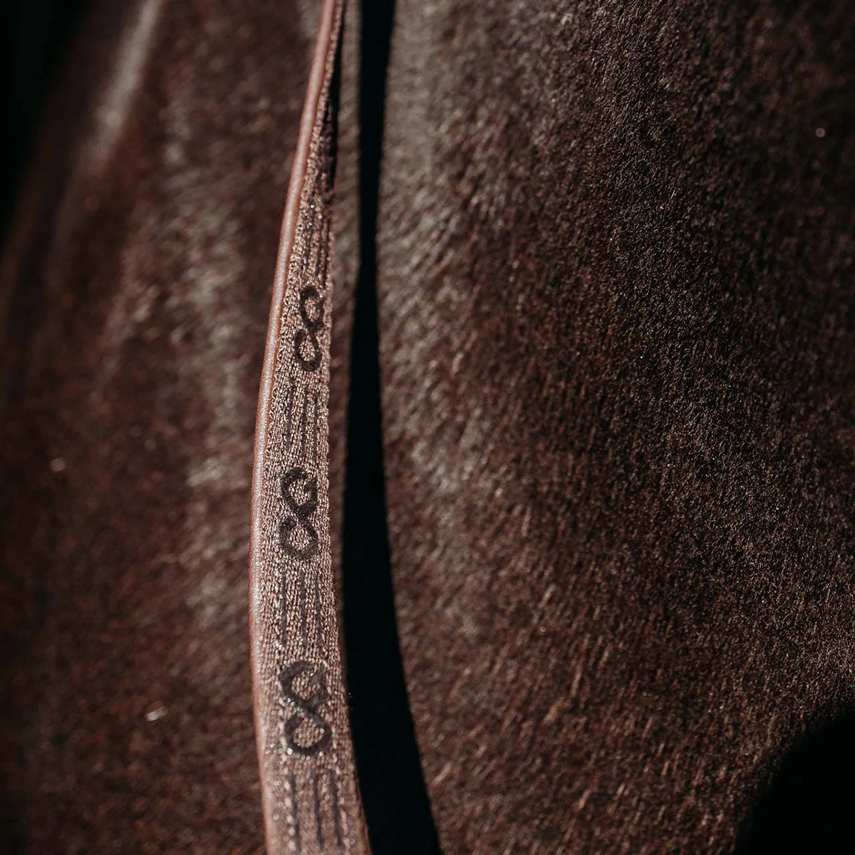 Teugels PresTeq FaySport Met Clips Bruin 2 Teugels PresTeq FaySport Met Clips Bruin - Afbeelding 2