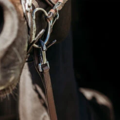 Teugels PresTeq FaySport Met Clips Bruin 5 Teugels PresTeq FaySport Met Clips Bruin -Paardenbenodigdheden Winkel teugels presteq faysport met clips bruin 1500x1500 167010