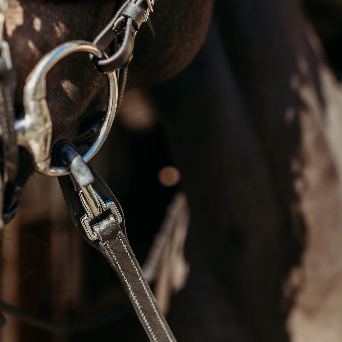 Teugels PresTeq FaySport Met Clips&Stops Zwart 2 Teugels PresTeq FaySport Met Clips&Stops Zwart - Afbeelding 2