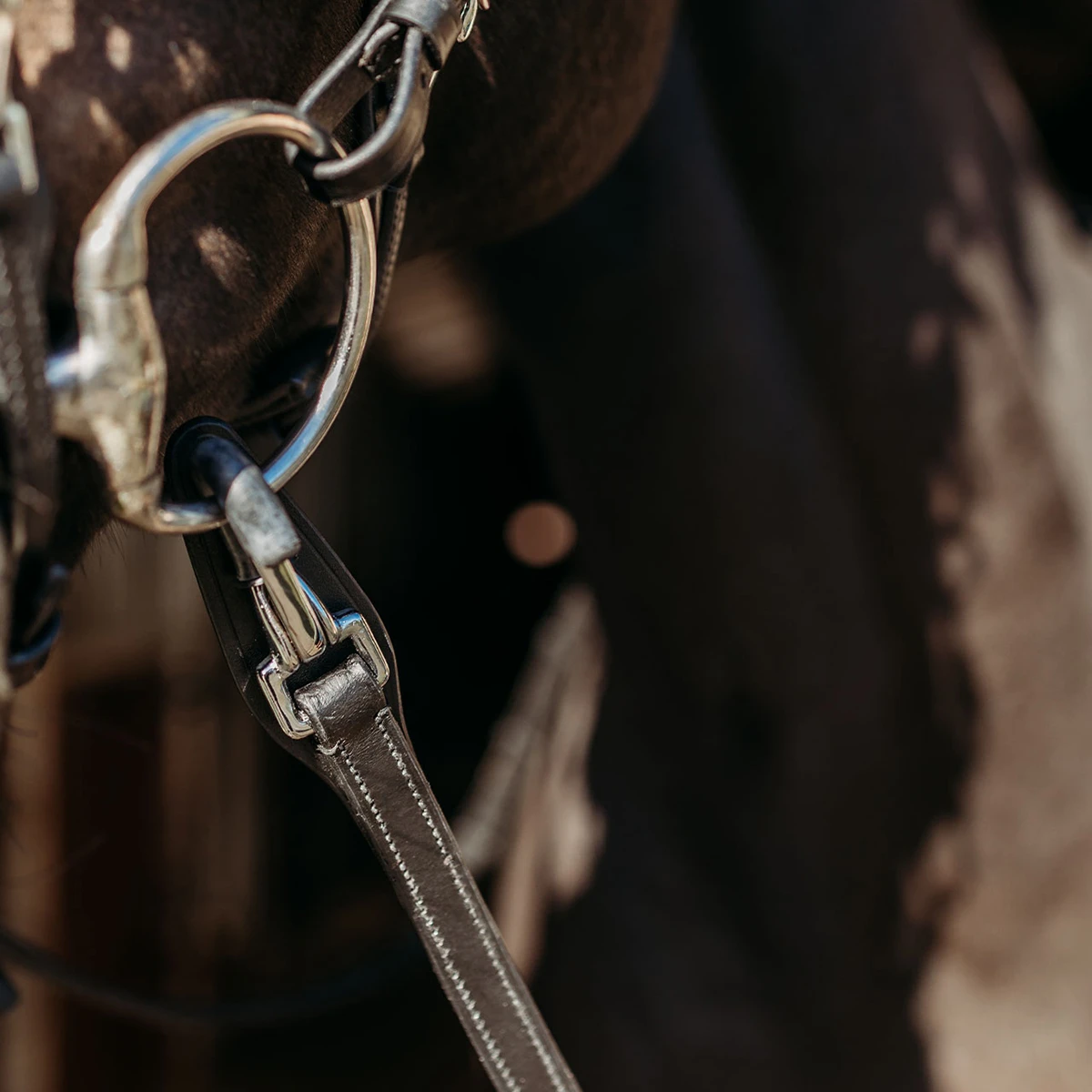 Teugels PresTeq FaySport Met Clips&Stops Zwart 2 Teugels PresTeq FaySport Met Clips&Stops Zwart - Afbeelding 2