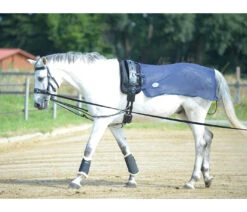 Vliegen Uitrijdeken Busse Longeer Donkerblauw -Paardenbenodigdheden Winkel vliegen uitrijdeken busse longeer donkerblauw 1500x1500 125707