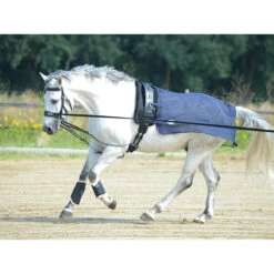 Vliegen Uitrijdeken Busse Longeer Donkerblauw -Paardenbenodigdheden Winkel vliegen uitrijdeken busse longeer donkerblauw 1500x1500 125708