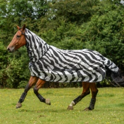 Vliegendeken Bucas Buzz-Off Zebra Full Neck Zebra -Paardenbenodigdheden Winkel vliegendeken bucas buzz off zebra full neck zebra 1500x1500 112359
