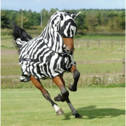 Vliegendeken Bucas Buzz-Off Zebra Full Neck Zebra -Paardenbenodigdheden Winkel vliegendeken bucas buzz off zebra full neck zebra 1500x1500 156535