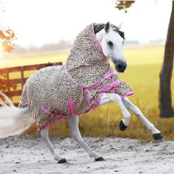 Vliegendeken Epplejeck EJLeopard Fancy Junior Bruin-roze -Paardenbenodigdheden Winkel vliegendeken epplejeck ejleopard fancy junior bruin roze 1500x1500 126970