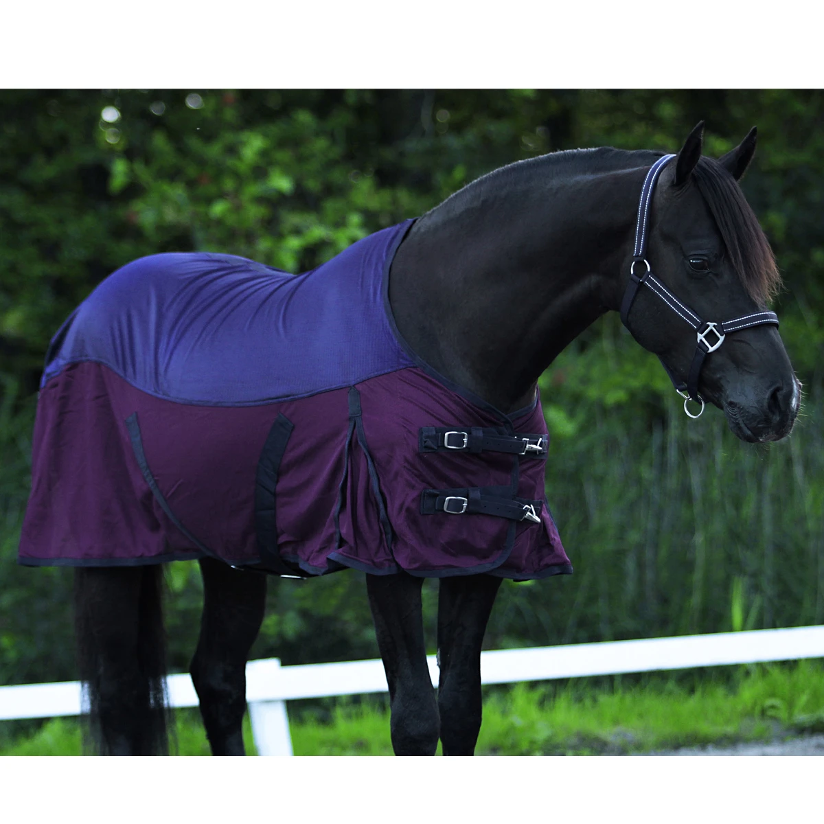 Vliegendeken Horsegear Catus Donkerblauw-paars 6 Vliegendeken Horsegear Catus Donkerblauw-paars - Afbeelding 6