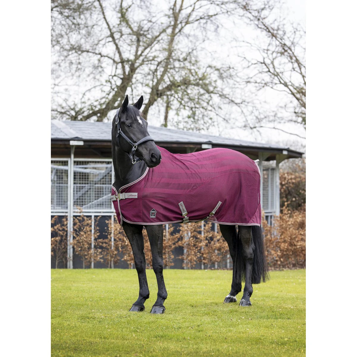 Vliegendeken LeMieux Arika Air-Tek Donkerrood 5 Vliegendeken LeMieux Arika Air-Tek Donkerrood - Afbeelding 5