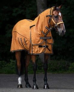Vliegendeken QHP Collection Combo Met Hals En Masker Geel -Paardenbenodigdheden Winkel vliegendeken qhp collection combo met hals en masker geel 1500x1500 175278