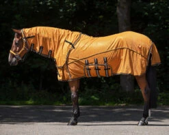 Vliegendeken QHP Collection Combo Met Hals En Masker Geel -Paardenbenodigdheden Winkel vliegendeken qhp collection combo met hals en masker geel 1500x1500 175279