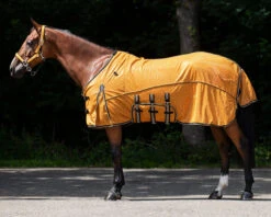 Vliegendeken QHP Collection Combo Met Hals En Masker Geel -Paardenbenodigdheden Winkel vliegendeken qhp collection combo met hals en masker geel 1500x1500 175280