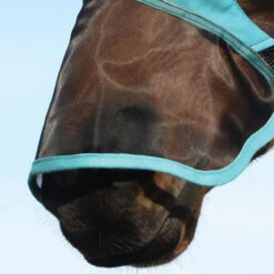 Weatherbeeta Vliegenmasker Weatherbeetra Fine Ears & Nose Zwart-turquoise 9 Weatherbeeta Vliegenmasker Weatherbeetra Fine Ears & Nose Zwart-turquoise -Paardenbenodigdheden Winkel vliegenmasker weatherbeetra fine ears nose zwart turquoise 1500x1500 132953