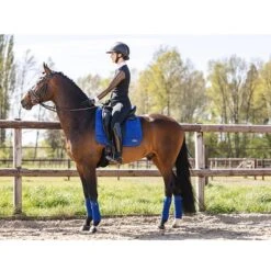 Zadeldek Anky Anatomic Tech Middenblauw -Paardenbenodigdheden Winkel zadeldek anky anatomic tech middenblauw 1500x1500 170126