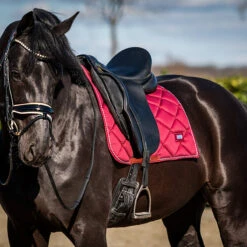 Zadeldek HB Showtime Crown Donkerrood -Paardenbenodigdheden Winkel zadeldek hb showtime crown donkerrood 1500x1500 146304