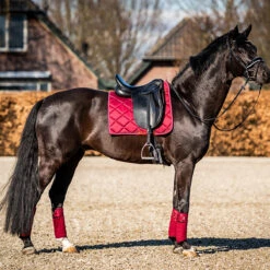 Zadeldek HB Showtime Crown Donkerrood -Paardenbenodigdheden Winkel zadeldek hb showtime crown donkerrood 1500x1500 146306
