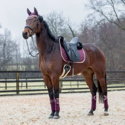 Zadeldek Horsegear Aurum Donkerpaars -Paardenbenodigdheden Winkel zadeldek horsegear aurum donkerpaars 1500x1500 139045