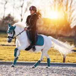 Zadeldek Horsegear Aurum Groen -Paardenbenodigdheden Winkel zadeldek horsegear aurum groen 1500x1500 139068