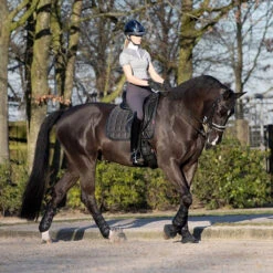 Zadeldek LeMieux Carbon Mesh Air Dressage Zwart -Paardenbenodigdheden Winkel zadeldek lemieux carbon mesh air dressage zwart 1500x1500 116642