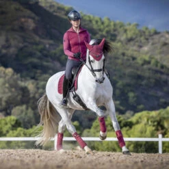 Zadeldek Lemieux Loire Classic Satin Ds Roze -Paardenbenodigdheden Winkel zadeldek lemieux loire classic satin ds roze 1500x1500 122906