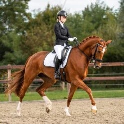 Zadeldek PresTeq PerformNow Wit -Paardenbenodigdheden Winkel zadeldek presteq performnow wit 1500x1500 184016