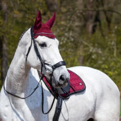 Zadeldek QHP Eldorado Donkerrood -Paardenbenodigdheden Winkel zadeldek qhp eldorado donkerrood 1500x1500 101831