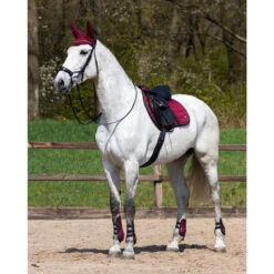 Zadeldek QHP Eldorado Donkerrood -Paardenbenodigdheden Winkel zadeldek qhp eldorado donkerrood 1500x1500 101832