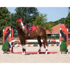 Zadeldek QHP Rio Rood -Paardenbenodigdheden Winkel zadeldek qhp rio rood 1500x1500 148657