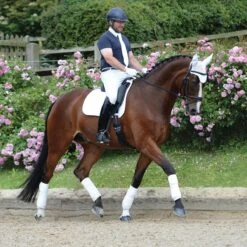 Zadeldek WeatherBeeta Prime Dressage Wit -Paardenbenodigdheden Winkel zadeldek weatherbeeta prime dressage wit 1500x1500 133441