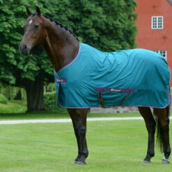 Zomerdeken Bucas Freedom Twill Sheet Groen -Paardenbenodigdheden Winkel zomerdeken bucas freedom twill sheet groen 1500x1500 174495