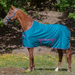 Zomerdeken Bucas Freedom Twill Sheet Groen -Paardenbenodigdheden Winkel zomerdeken bucas freedom twill sheet groen 1500x1500 174496