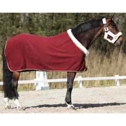 Zweetdeken Horsegear Allure Donkerrood -Paardenbenodigdheden Winkel zweetdeken horsegear allure donkerrood 1500x1500 116320