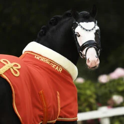 Zweetdeken Horsegear Lyx Middenoranje 15 Zweetdeken Horsegear Lyx Middenoranje -Paardenbenodigdheden Winkel zweetdeken horsegear lyx middenoranje 1500x1500 172840