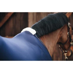 Zweetdeken Kentucky Donkerblauw -Paardenbenodigdheden Winkel zweetdeken kentucky donkerblauw 1500x1500 137775