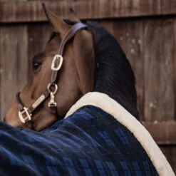 Zweetdeken Kentucky Show Heavy Blauw 7 Zweetdeken Kentucky Show Heavy Blauw -Paardenbenodigdheden Winkel zweetdeken kentucky show heavy blauw 1500x1500 139871