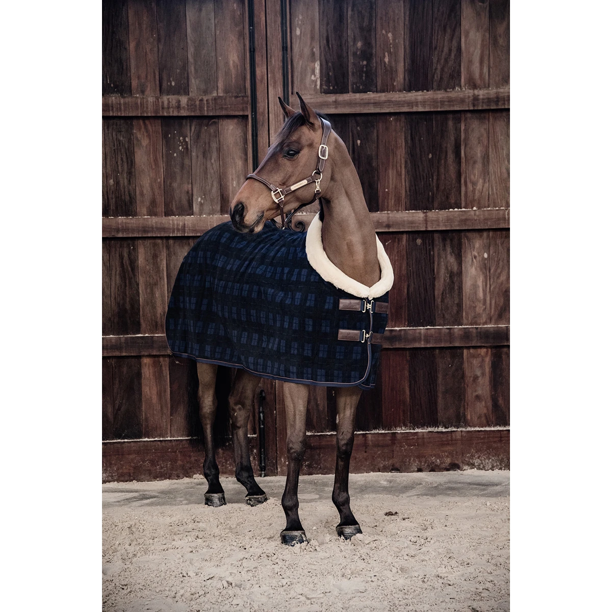 Zweetdeken Kentucky Show Heavy Blauw 4 Zweetdeken Kentucky Show Heavy Blauw - Afbeelding 4