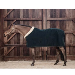 Zweetdeken Kentucky Show Heavy Donkergroen -Paardenbenodigdheden Winkel zweetdeken kentucky show heavy donkergroen 1500x1500 139882