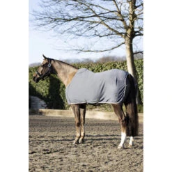 Zweetdeken LeMieux Arika Jersey-Tek Grijs -Paardenbenodigdheden Winkel zweetdeken lemieux arika jersey tek grijs 1500x1500 143281