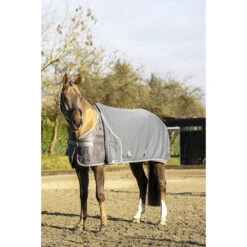 Zweetdeken LeMieux Arika Jersey-Tek Grijs -Paardenbenodigdheden Winkel zweetdeken lemieux arika jersey tek grijs 1500x1500 183733