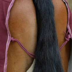 Zweetdeken WeatherBeeta Sherpa Fleece Donkerrood -Paardenbenodigdheden Winkel zweetdeken weatherbeeta sherpa fleece donkerrood 1500x1500 135310