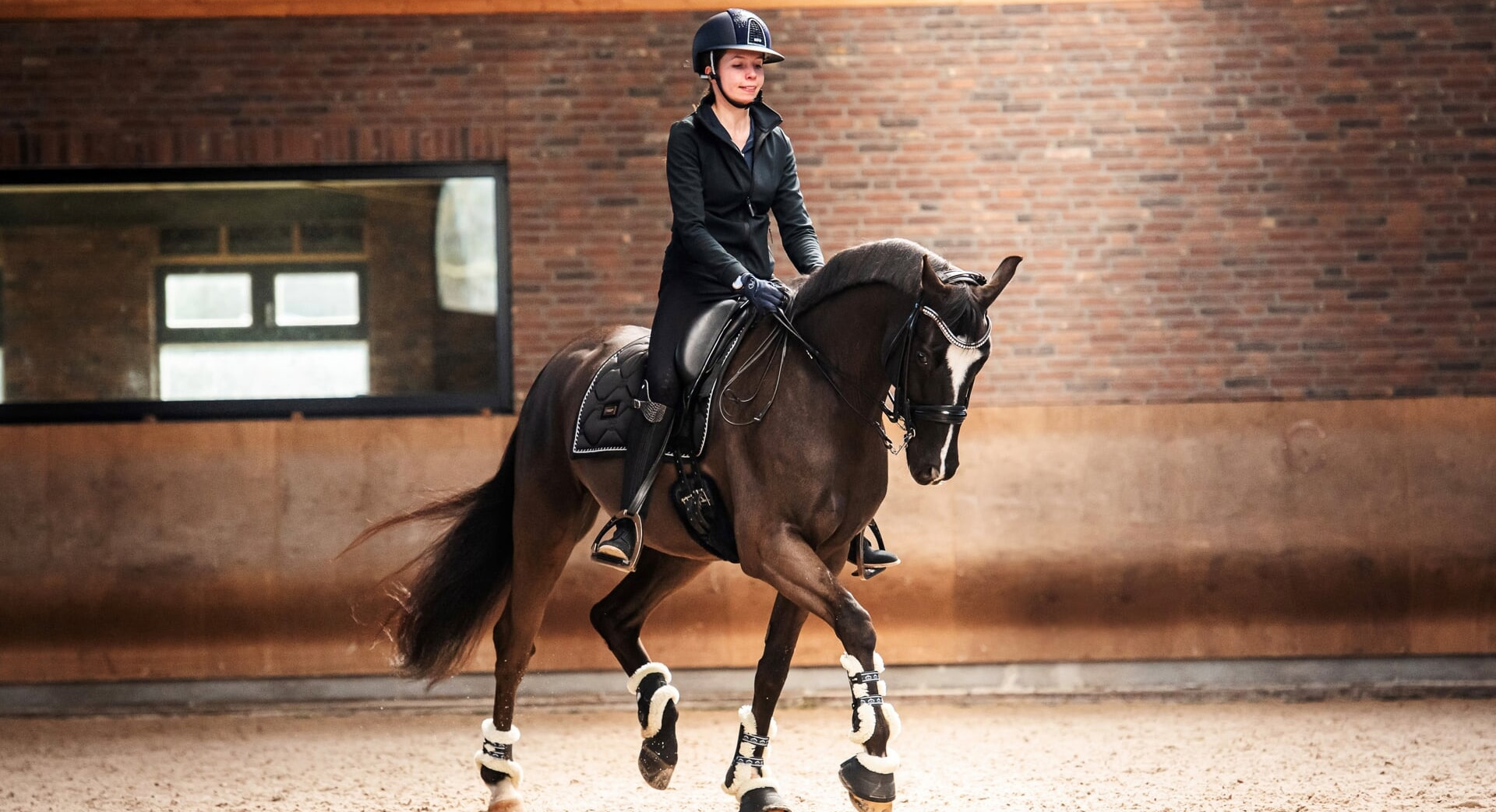 Paardenbenodigdheden Winkel 9 Paardenbenodigdheden Winkel -Paardenbenodigdheden Winkel 1